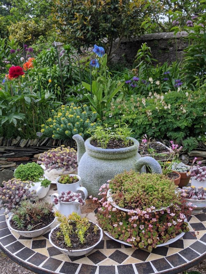 Drumfearne Guesthouse & Tearoom Carradale Esterno foto