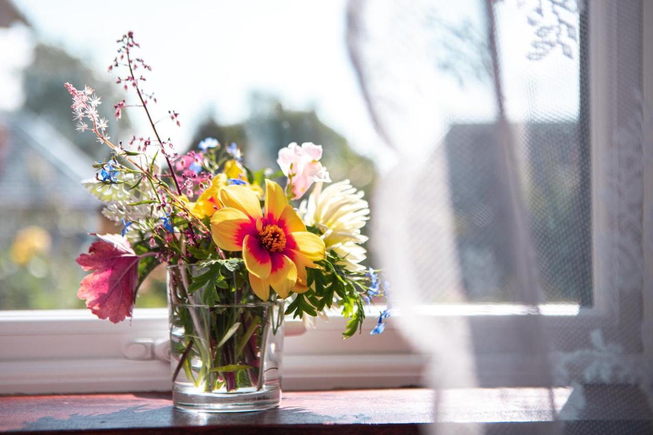 Drumfearne Guesthouse & Tearoom Carradale Esterno foto